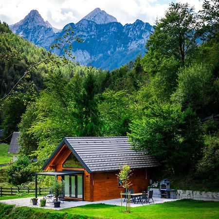 Radovna Chalet With Panoramic View มอยสตรานา ภายนอก รูปภาพ